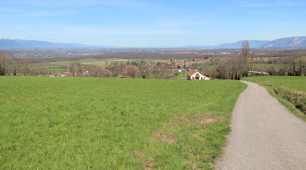 Panoramic view on the Bassin Lemanique