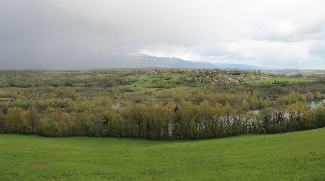 View over the Rhône