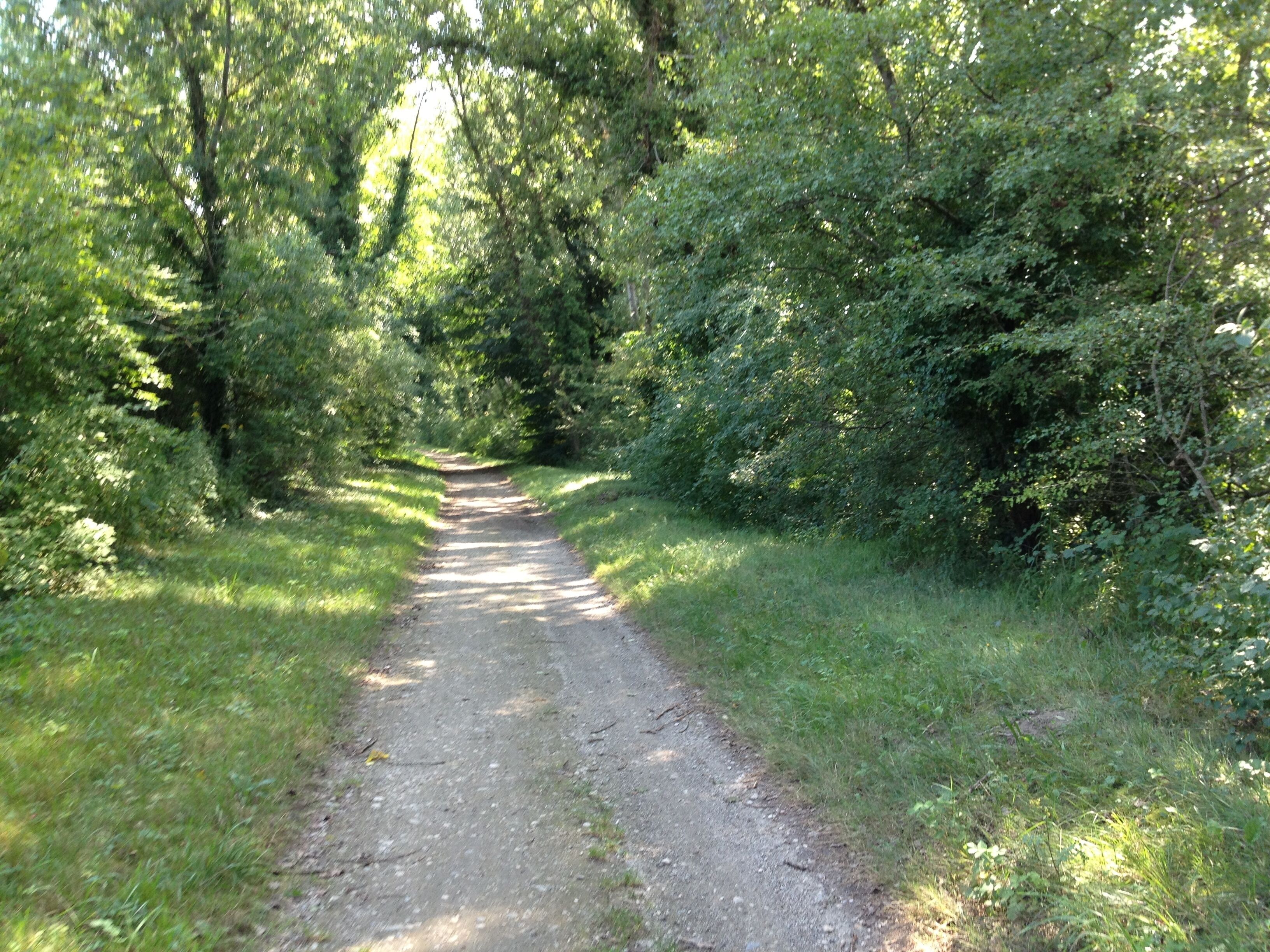 Chemin de halage à Thil.