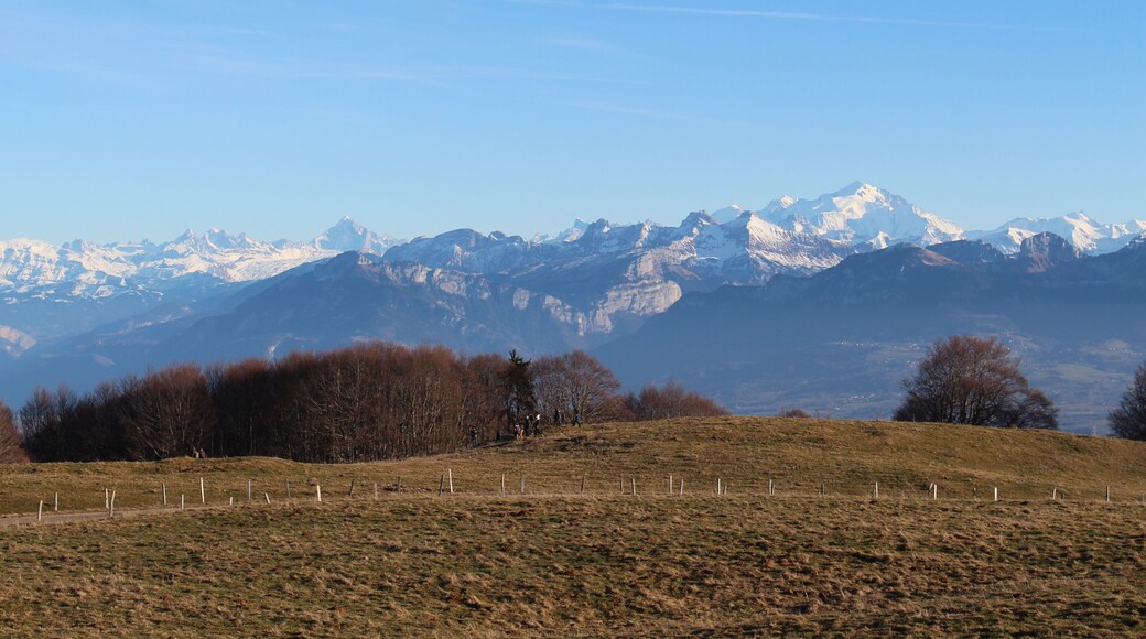 74160 Beaumont, France