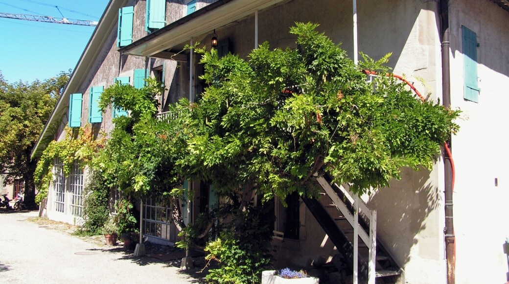 Route du Prieur 48, Bardonnex. Domaine Micheli (Landecy).