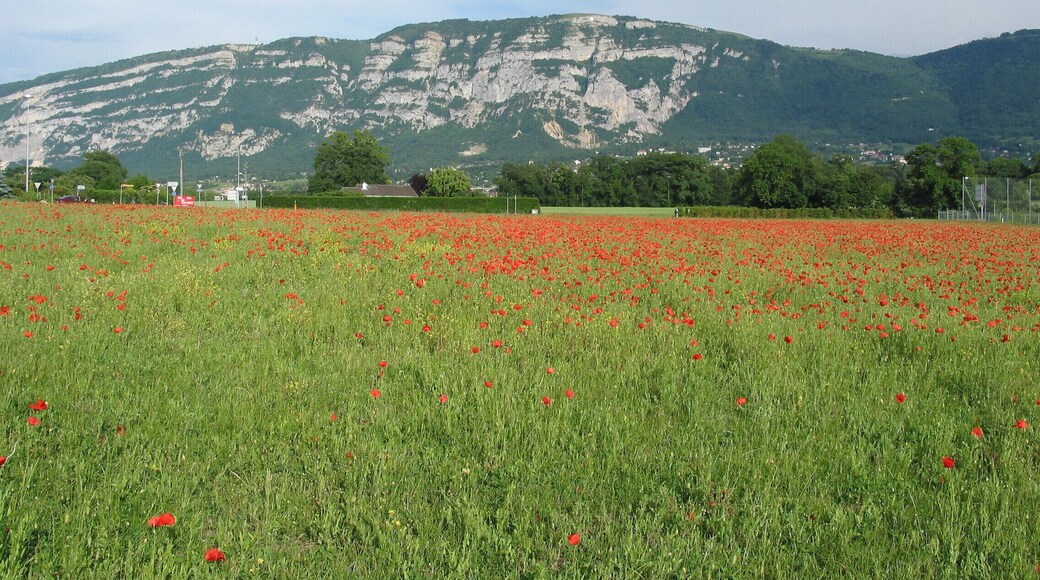 Bardonnex, Switzerland