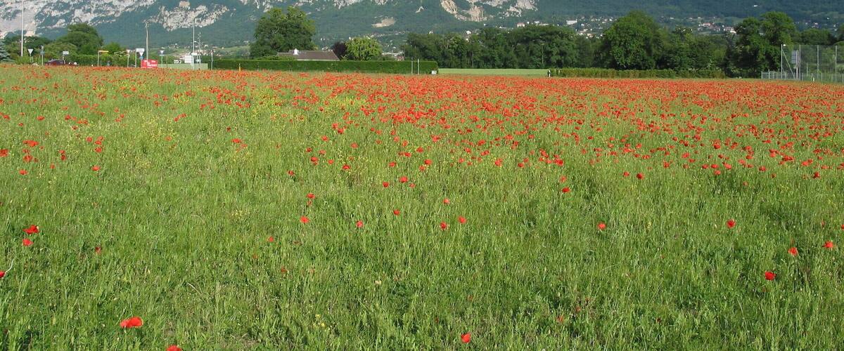 Bardonnex, Switzerland