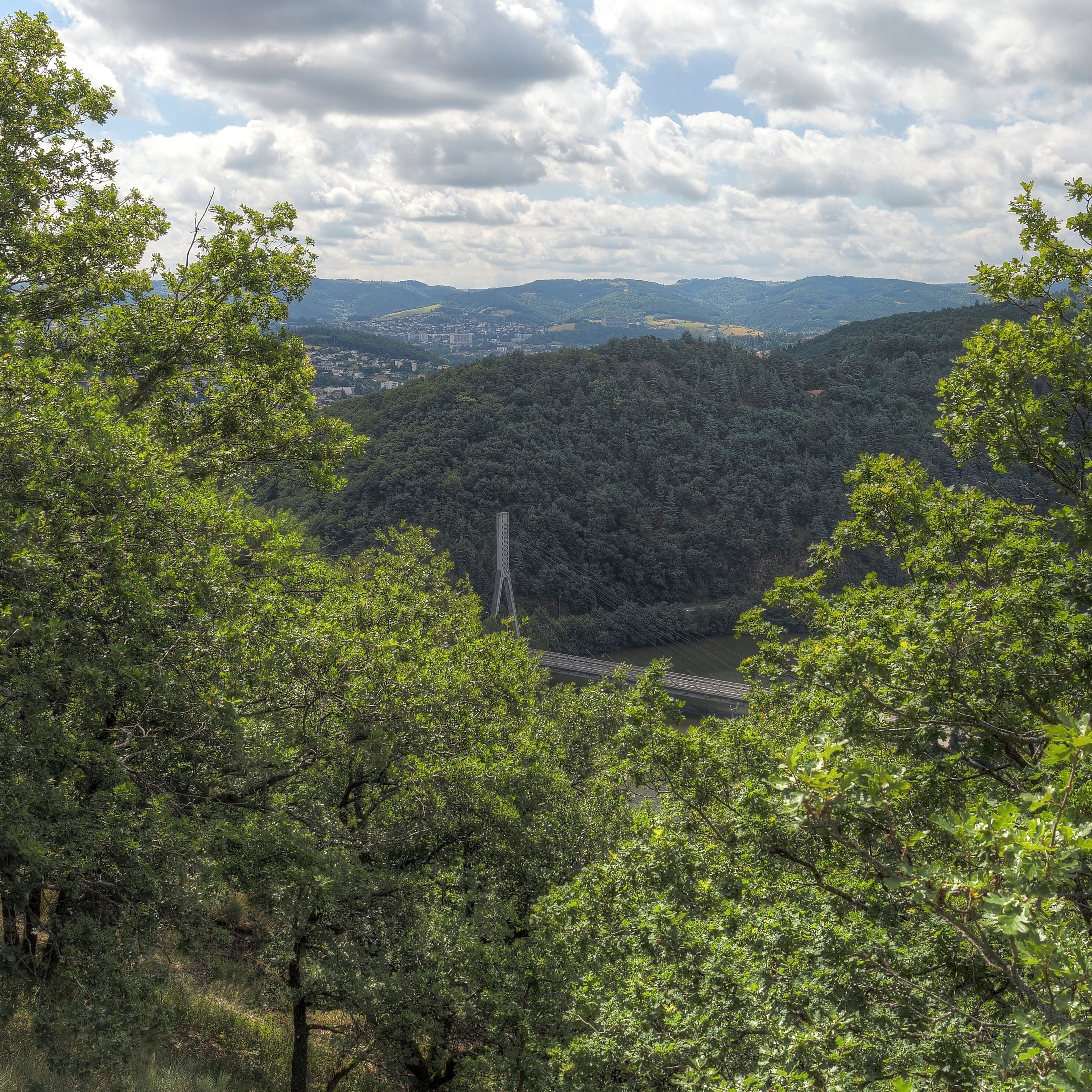 A lush green valley with a bridge and a distant cityscape.