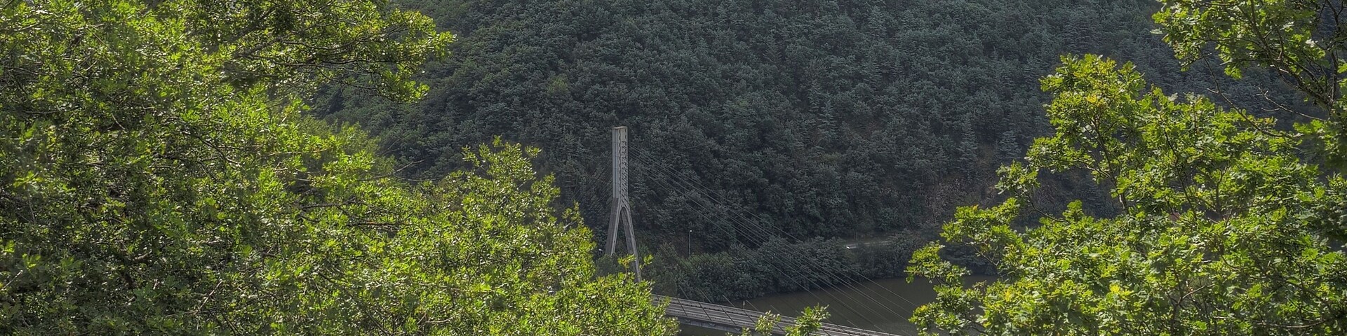 A lush green valley with a bridge and a distant cityscape.