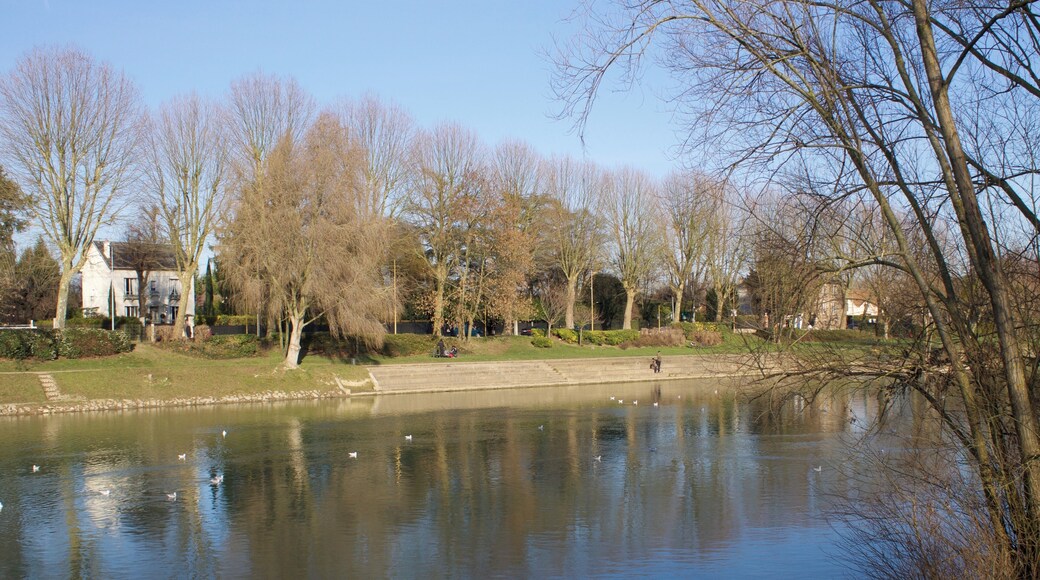 Promenade en bord de Marne