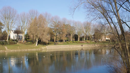 Promenade en bord de Marne