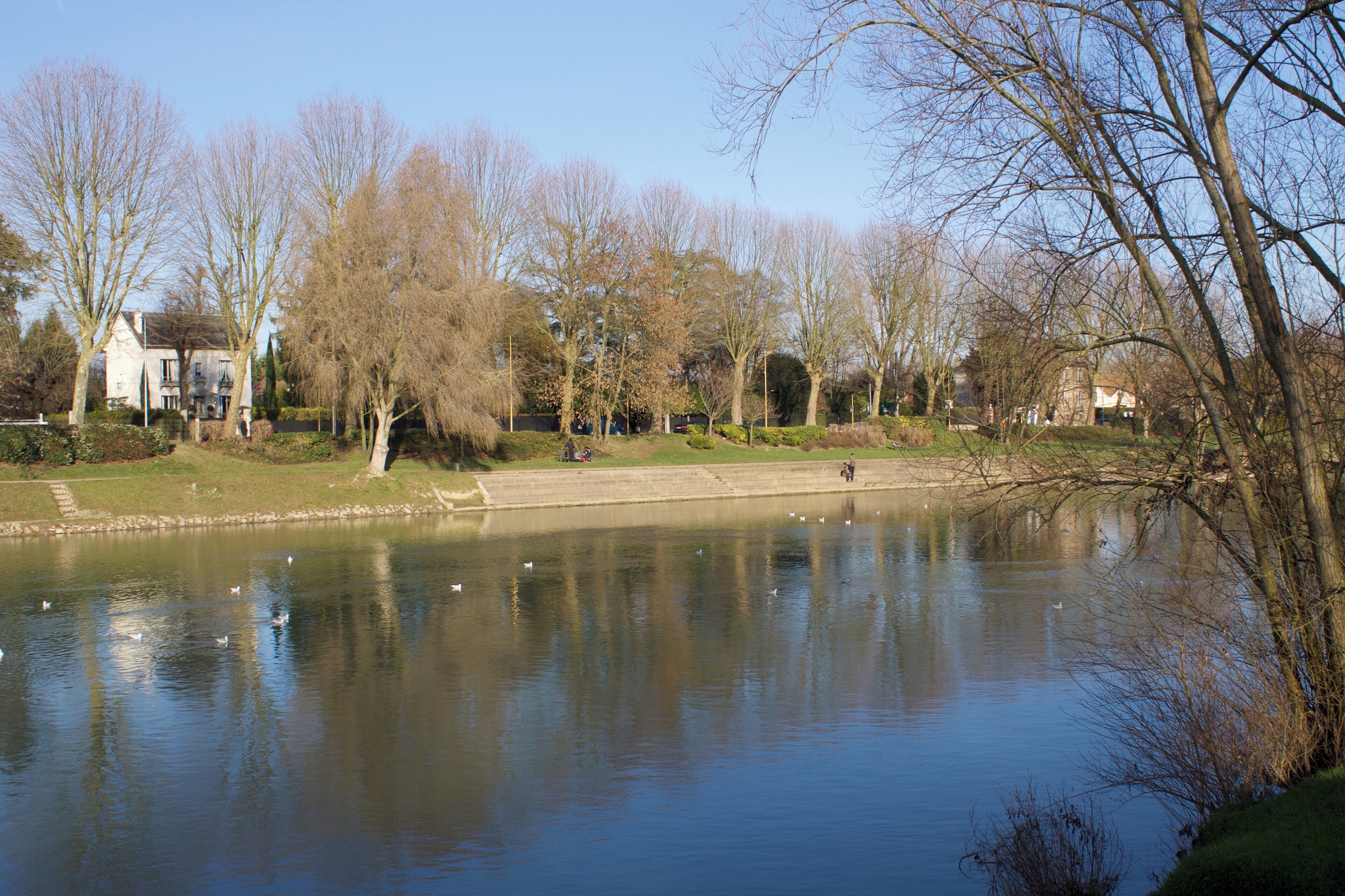 A calm lake with ducks, surrounded by leafless trees and a park with a pathway and benches.