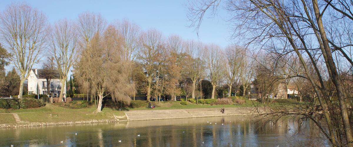 A calm lake with ducks, surrounded by leafless trees and a park with a pathway and benches.