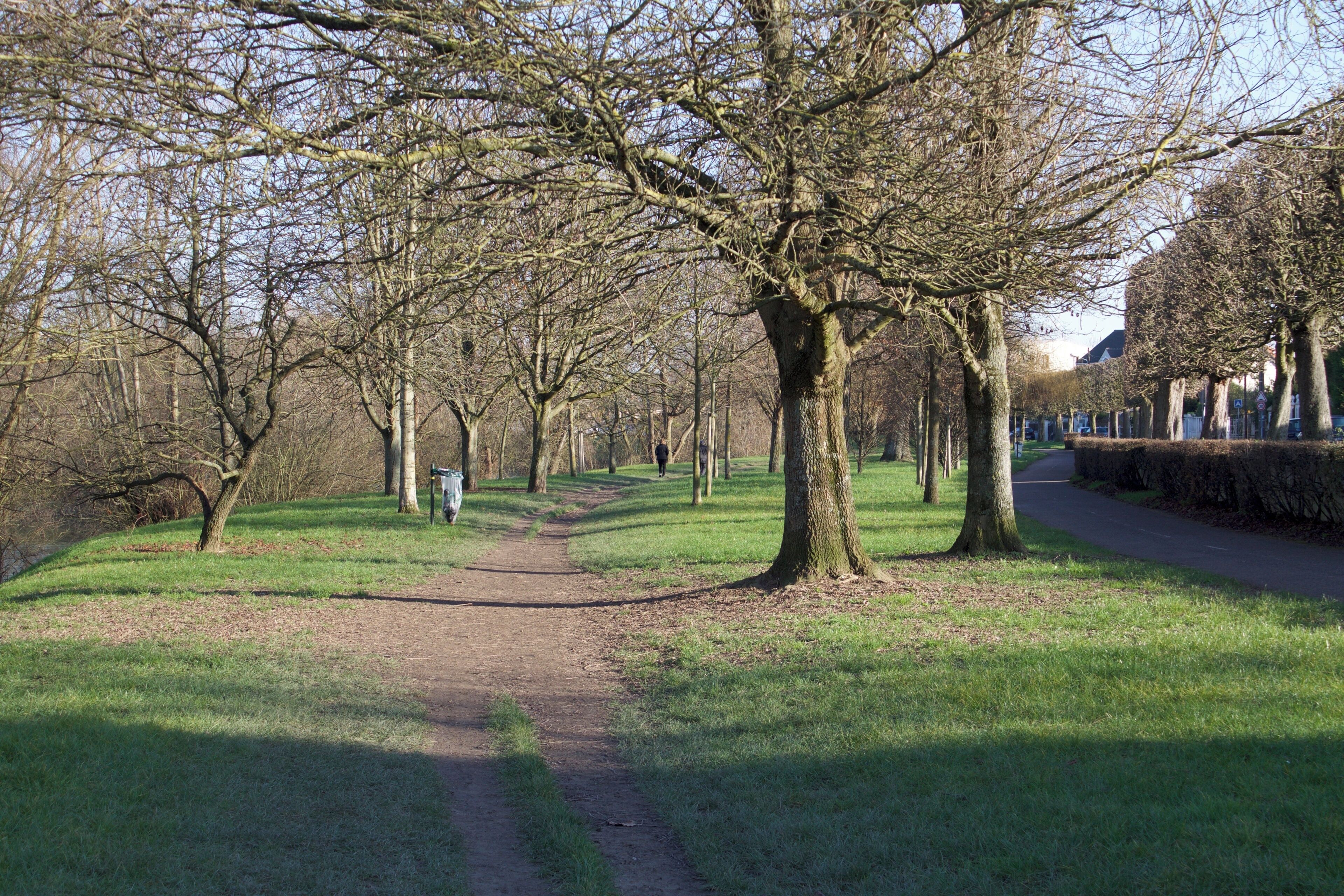 Promenade en bord de Marne