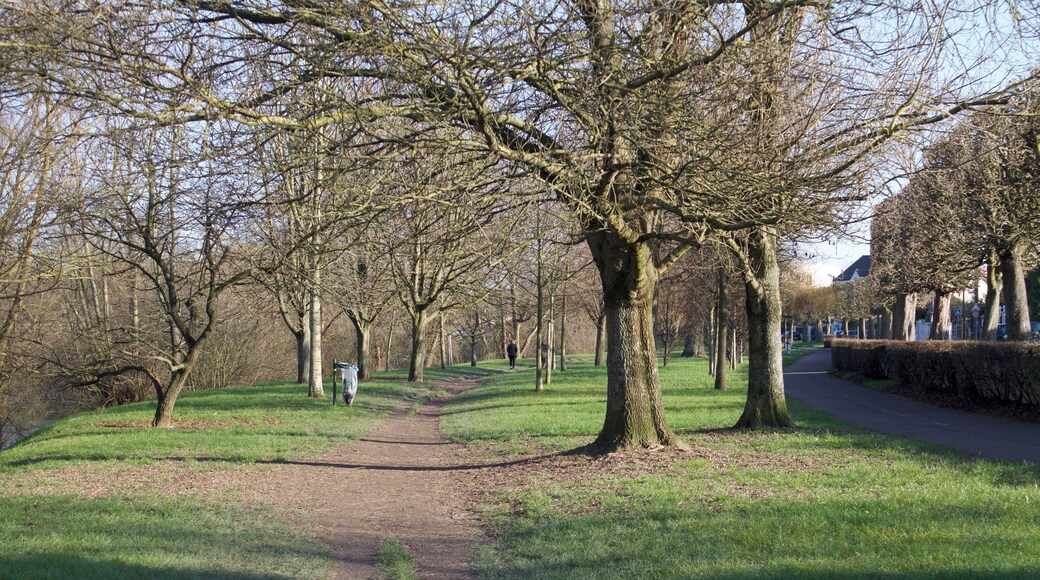 Promenade en bord de Marne