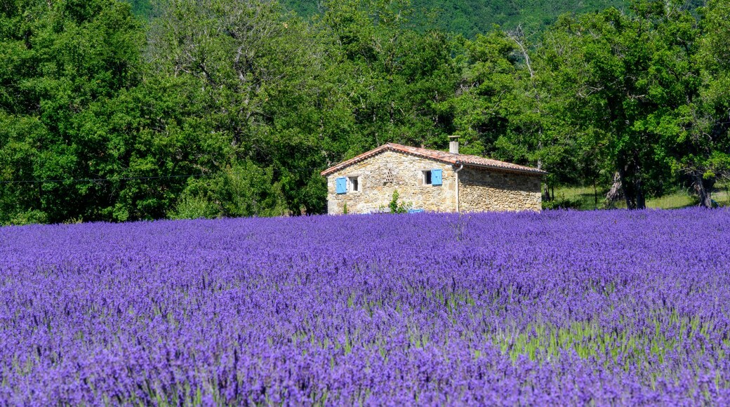 Rochefort-en-Valdaine
