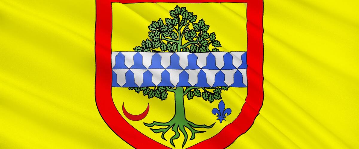 A shield with a tree, fleur-de-lis, and a checkered pattern on a yellow background.