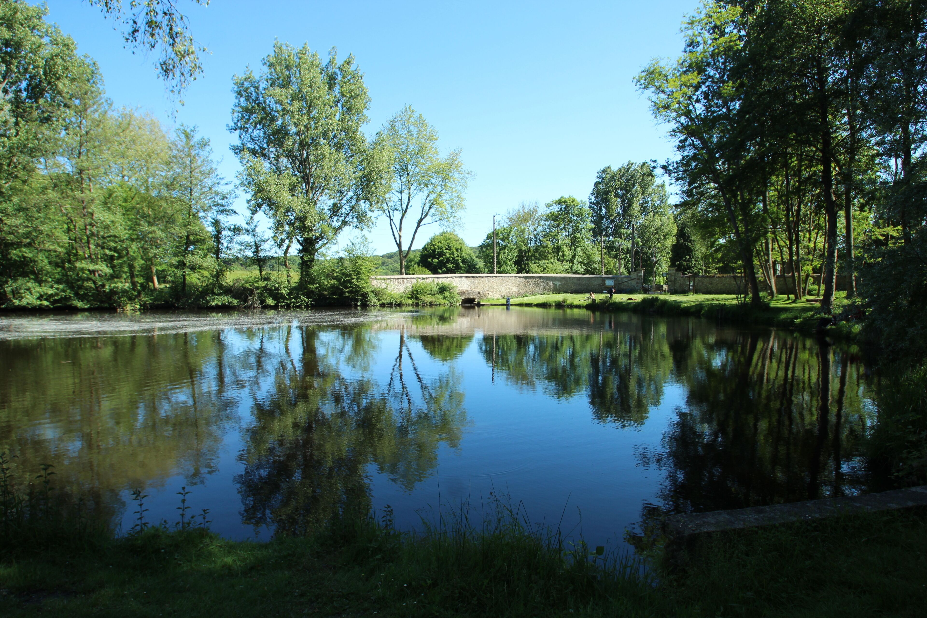 A calm lake surrounded by trees and a stone wall.