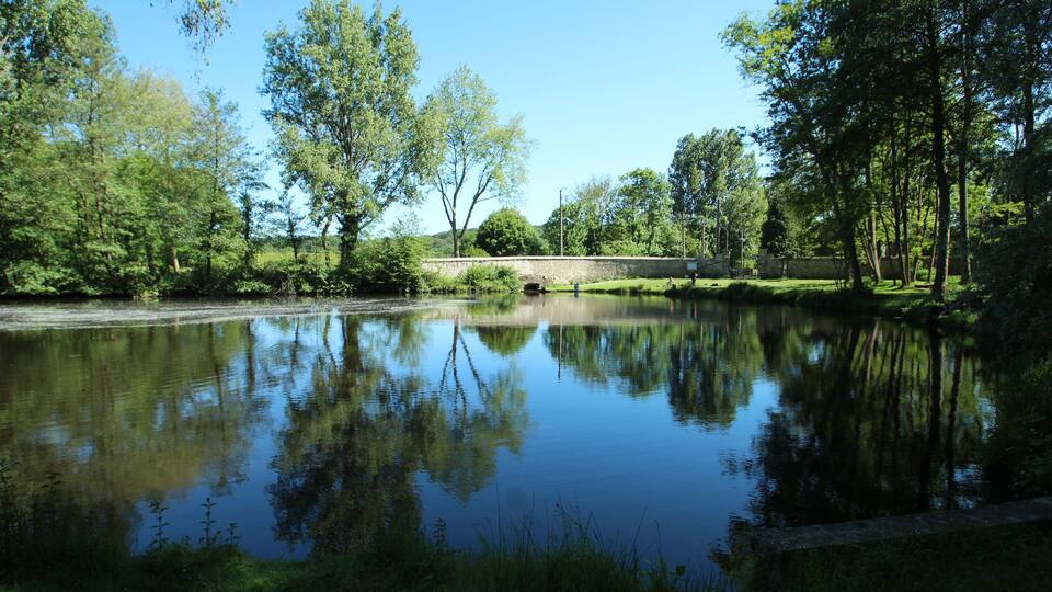 A calm lake surrounded by trees and a stone wall.