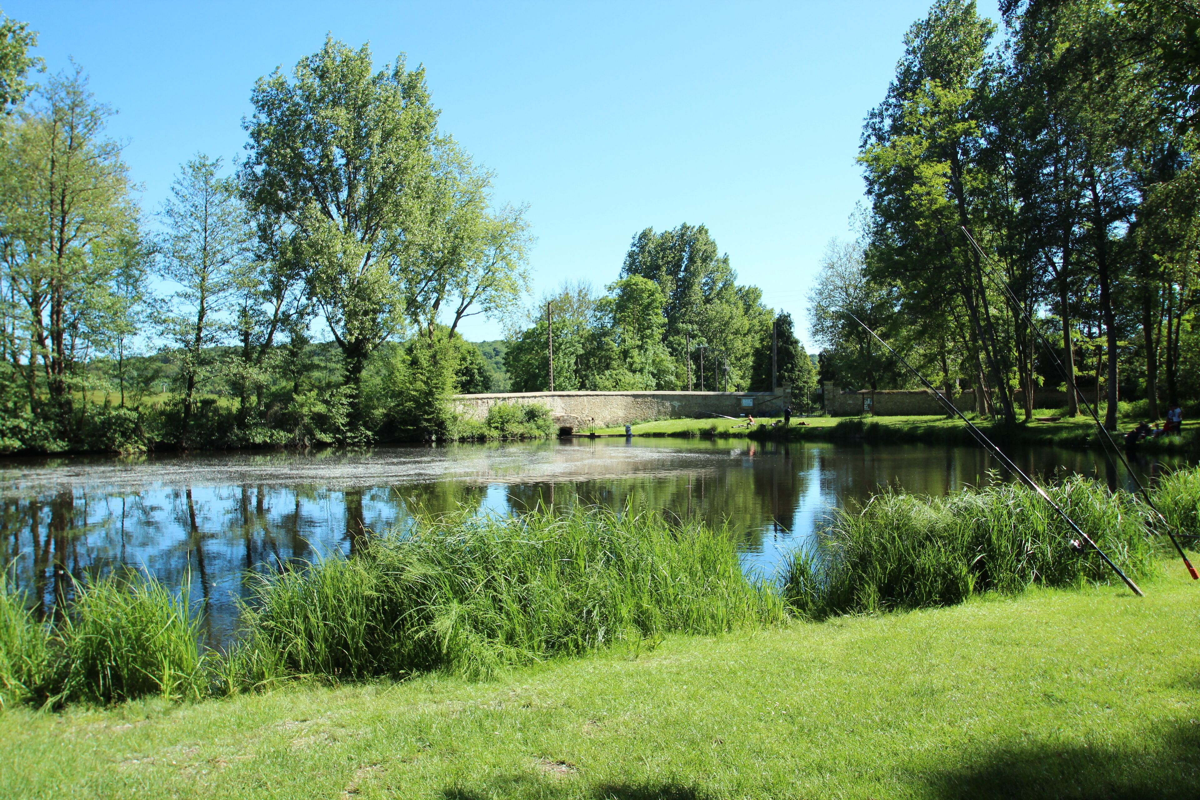 This image was uploaded as part of Wiki Loves Earth 2017.