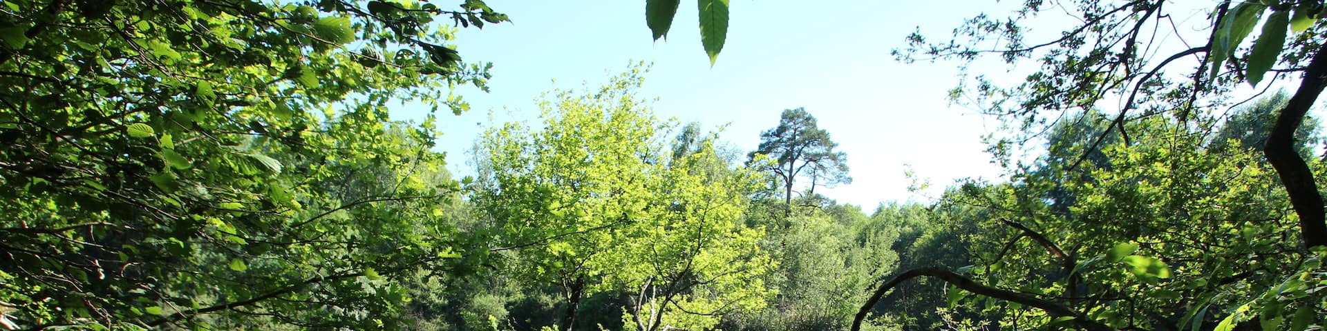 This image was uploaded as part of Wiki Loves Earth 2017.