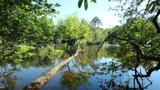 This image was uploaded as part of Wiki Loves Earth 2017.