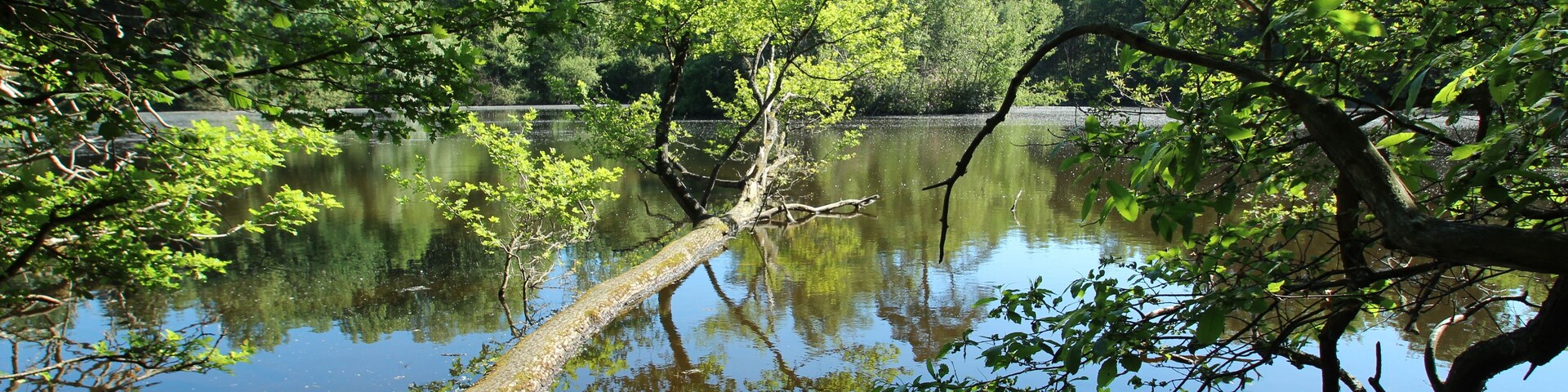 This image was uploaded as part of Wiki Loves Earth 2017.