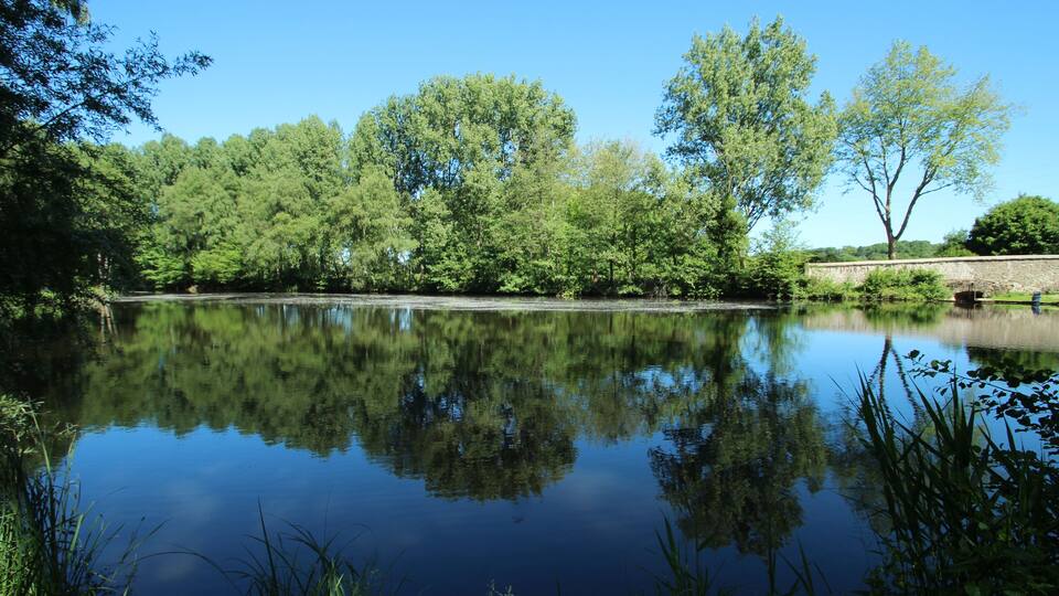 A calm lake surrounded by lush greenery and trees.