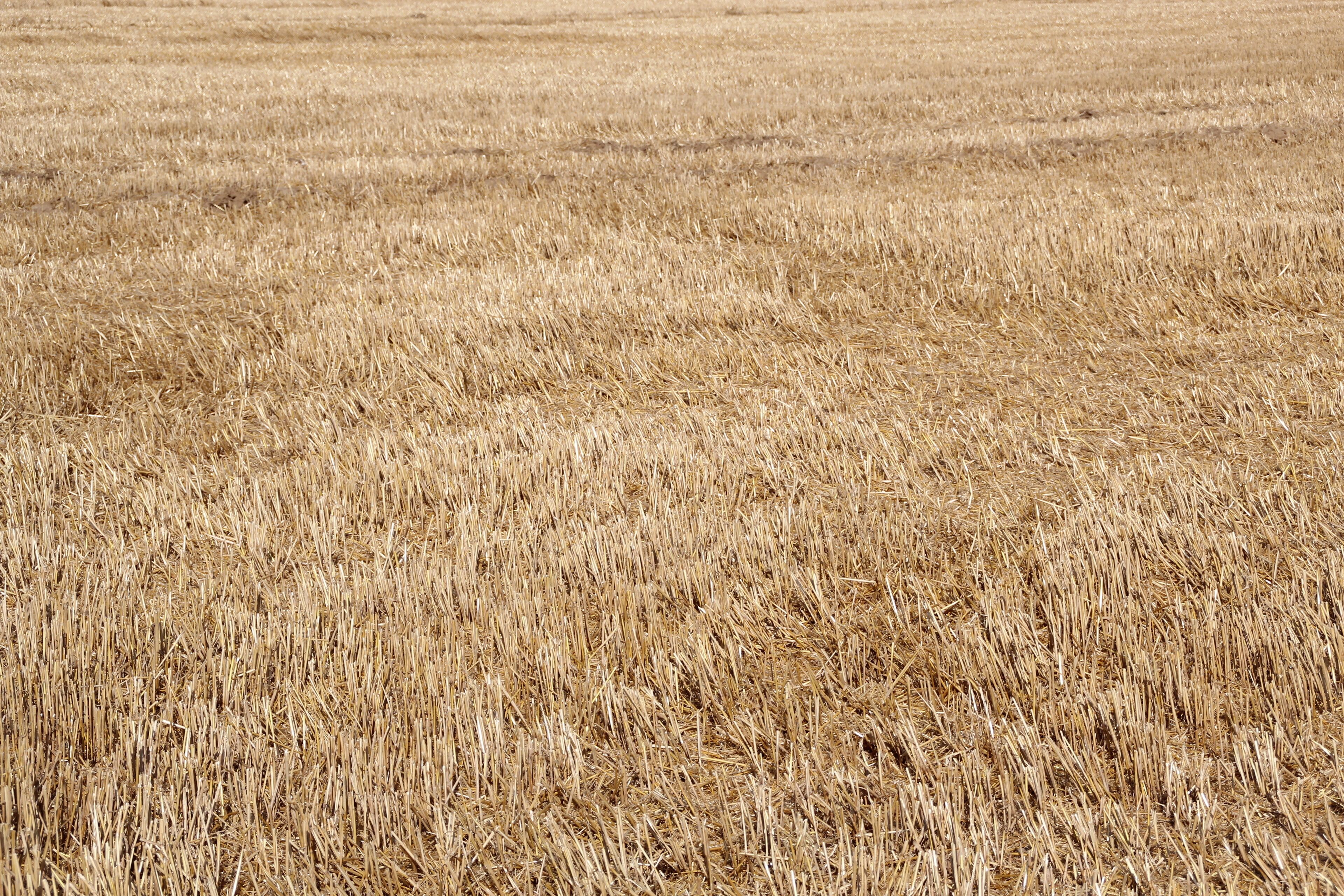 View of Paray-Douaville in the Yvelines department in France.