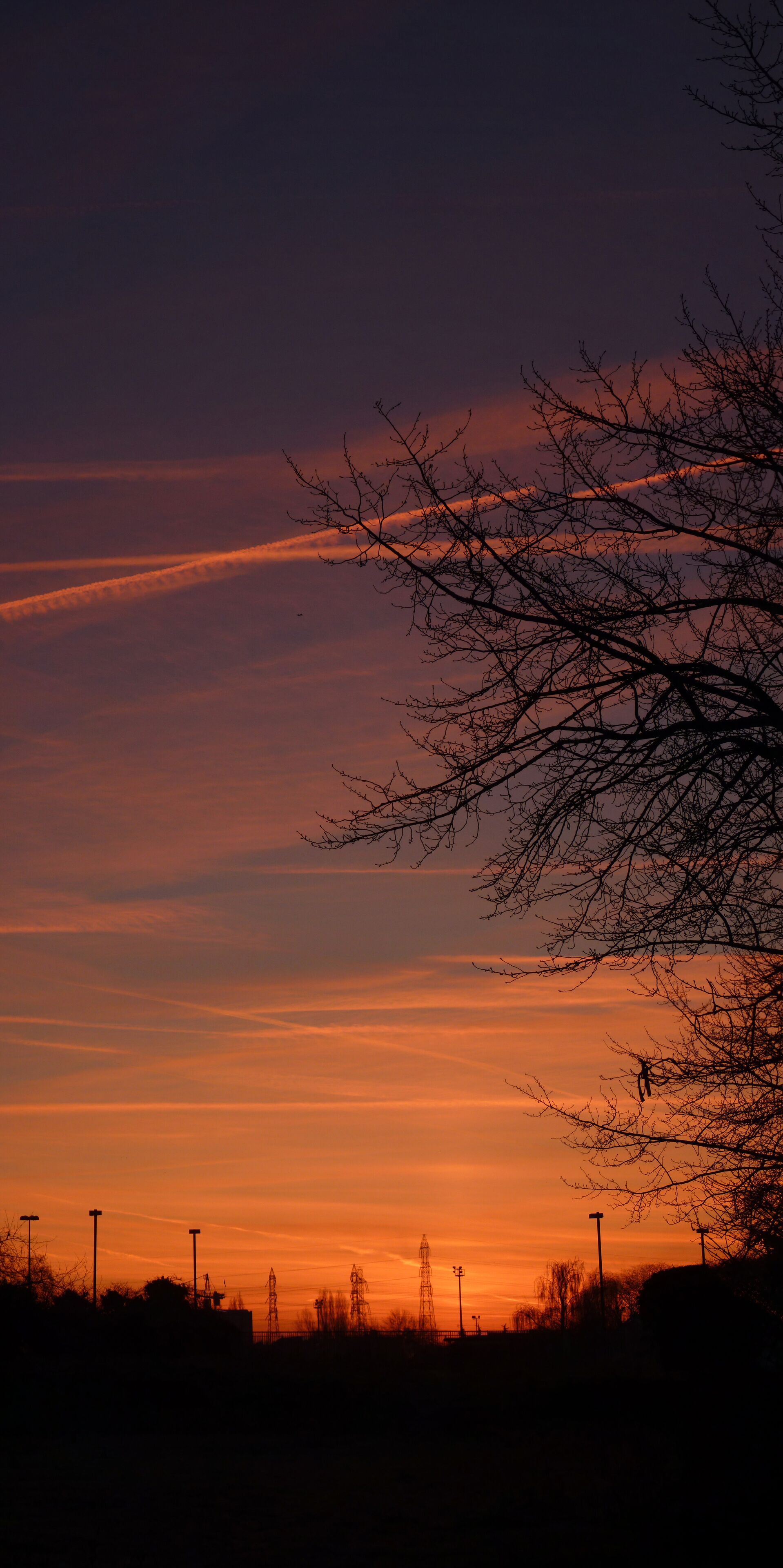 A sunset with a silhouette of a tree and power lines against a sky with orange and purple hues.