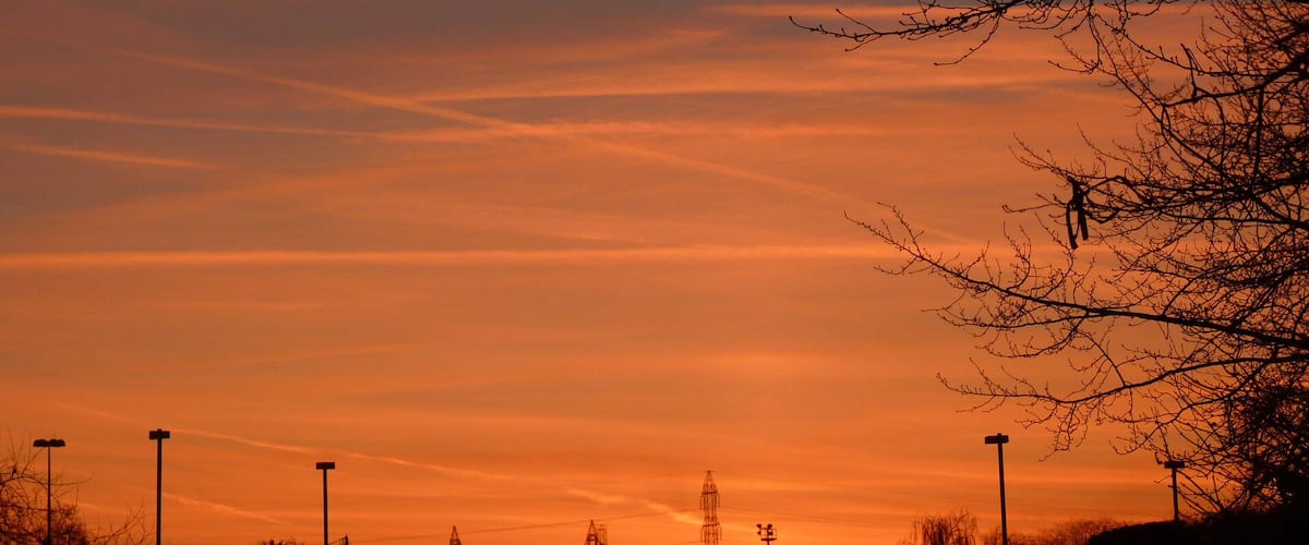 A sunset with a silhouette of a tree and power lines against a sky with orange and purple hues.