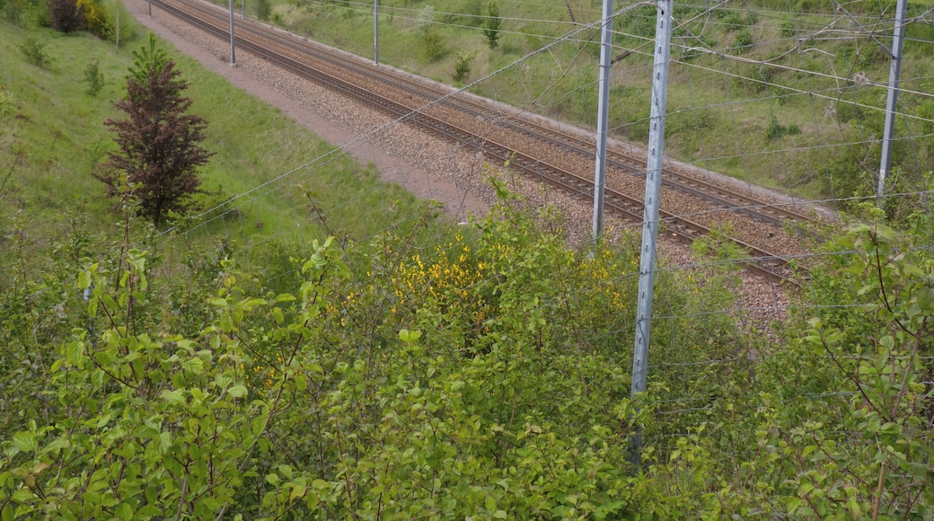Ligne de Villeneuve-Saint-Georges à la bifurcation de Moisenay