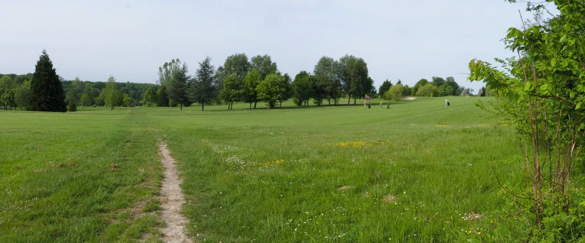 A grassy field with a dirt path, trees, and a distant person walking.