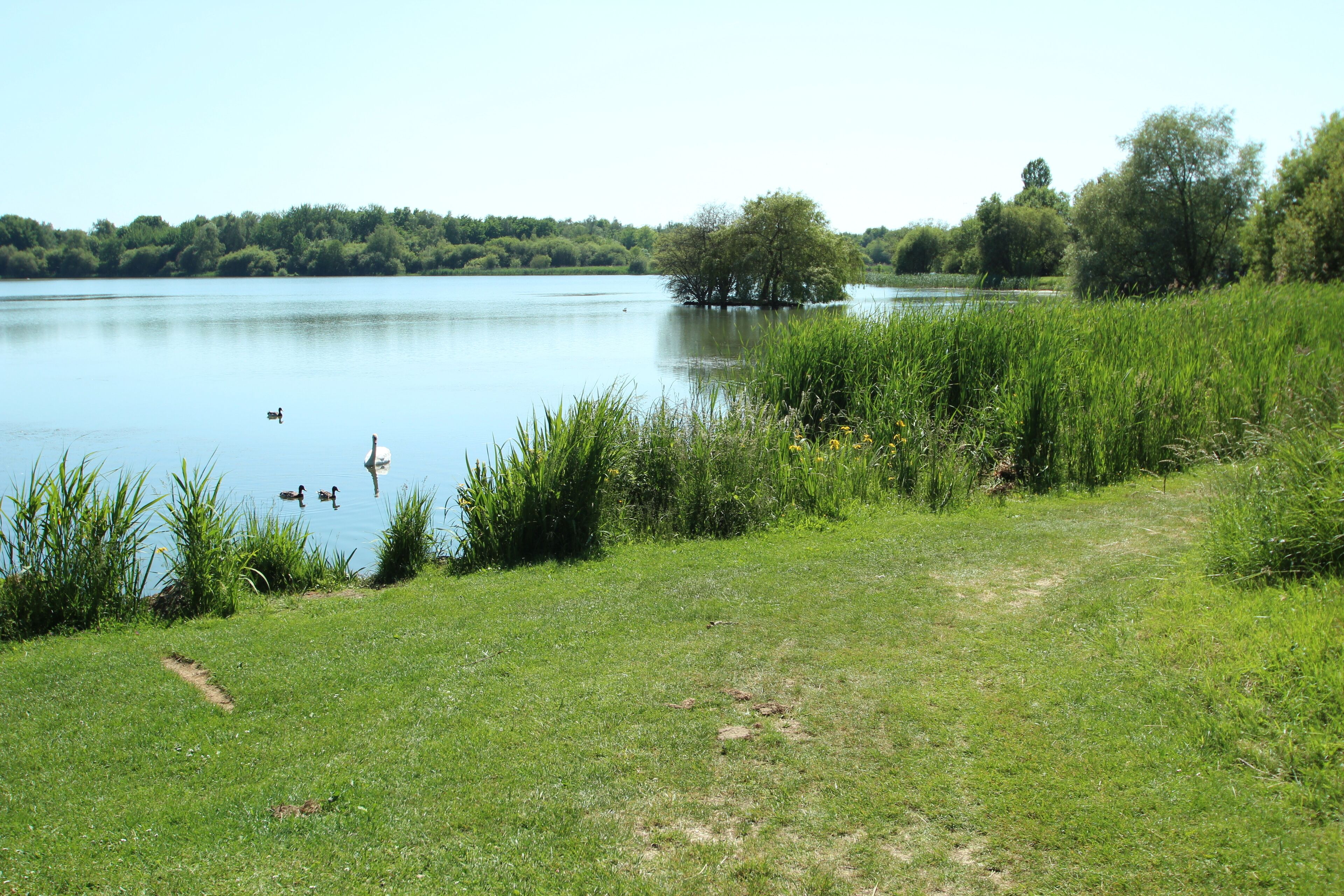 Noës pond in Le Mesnil-Saint-Denis in the Yvelines department in France.