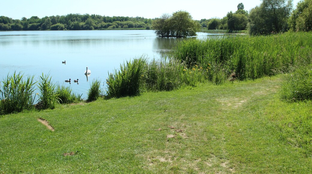 Noës pond in Le Mesnil-Saint-Denis in the Yvelines department in France.