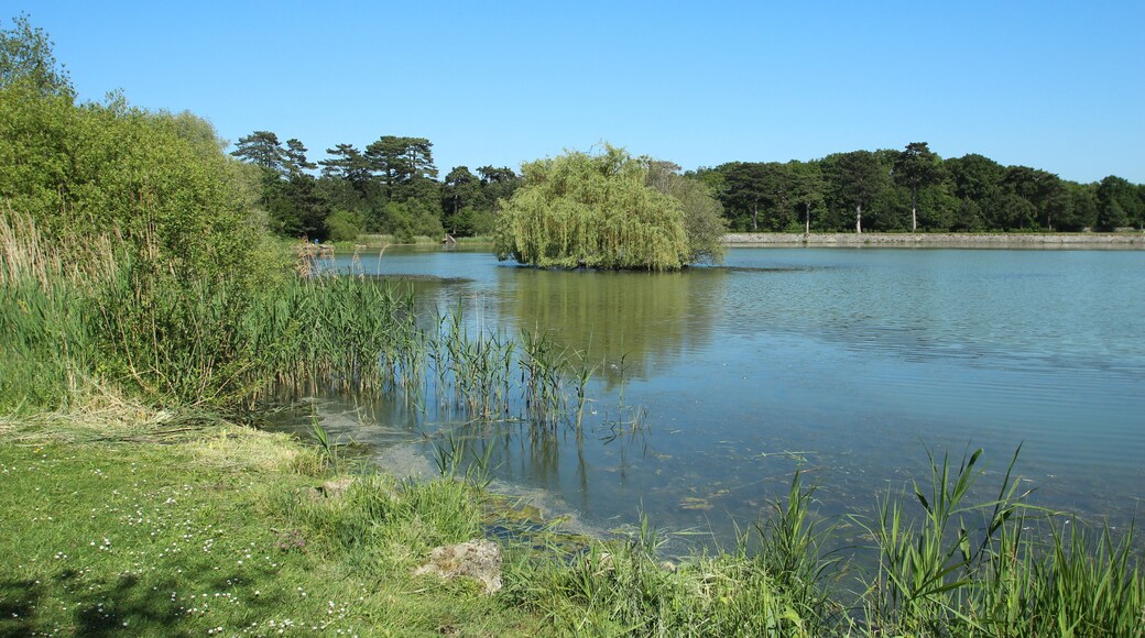 Noës pond in Le Mesnil-Saint-Denis in the Yvelines department in France.