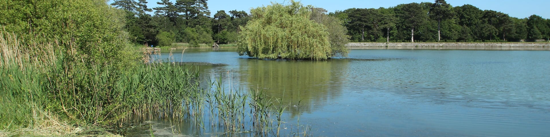 Noës pond in Le Mesnil-Saint-Denis in the Yvelines department in France.