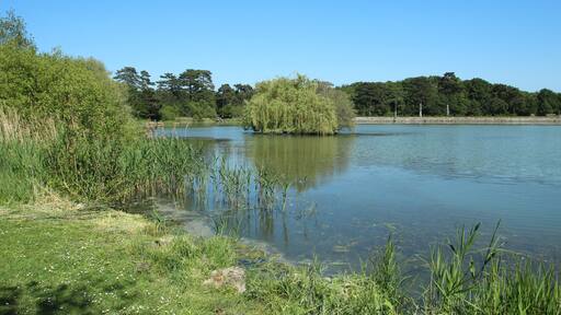 Noës pond in Le Mesnil-Saint-Denis in the Yvelines department in France.