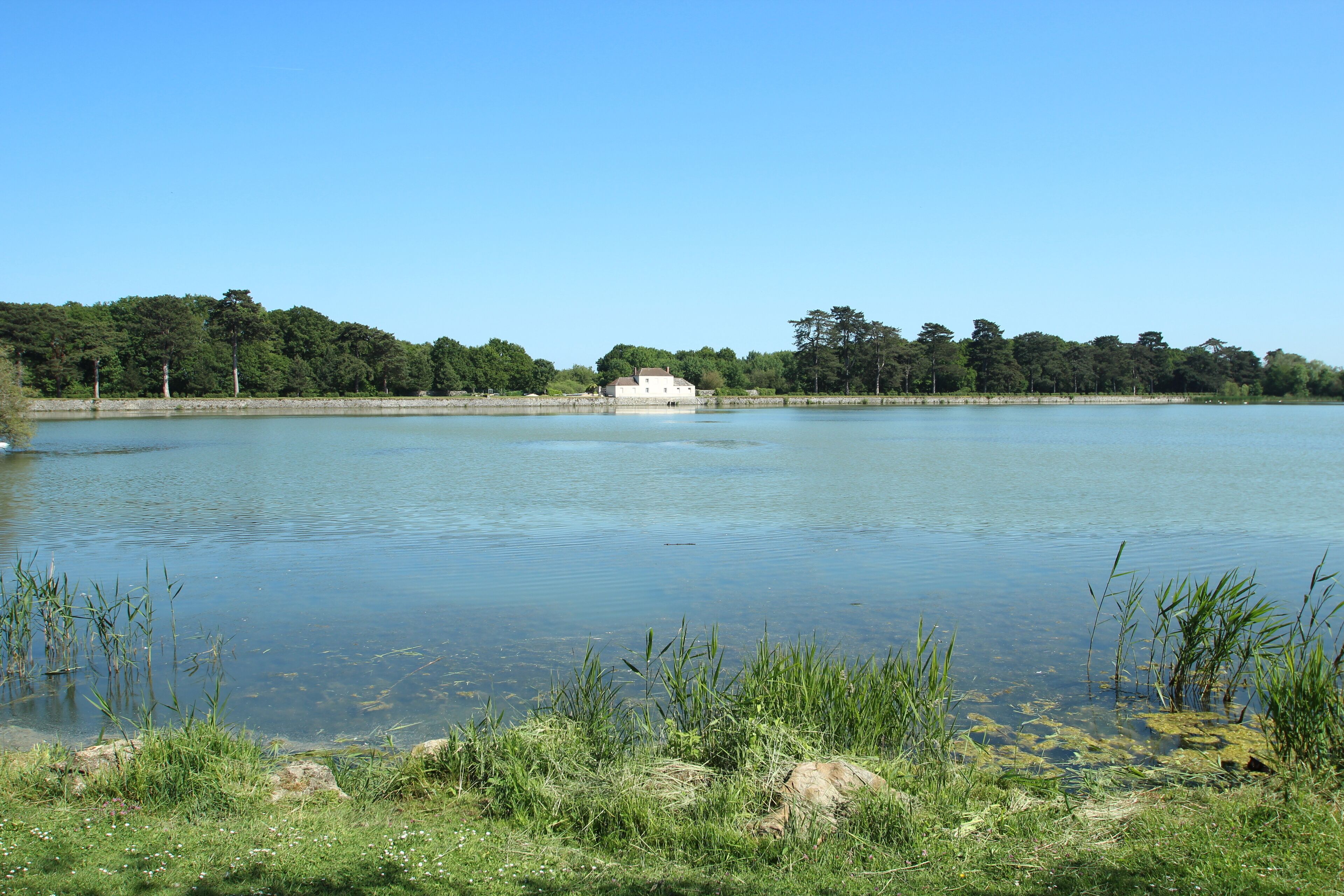 Noës pond in Le Mesnil-Saint-Denis in the Yvelines department in France.