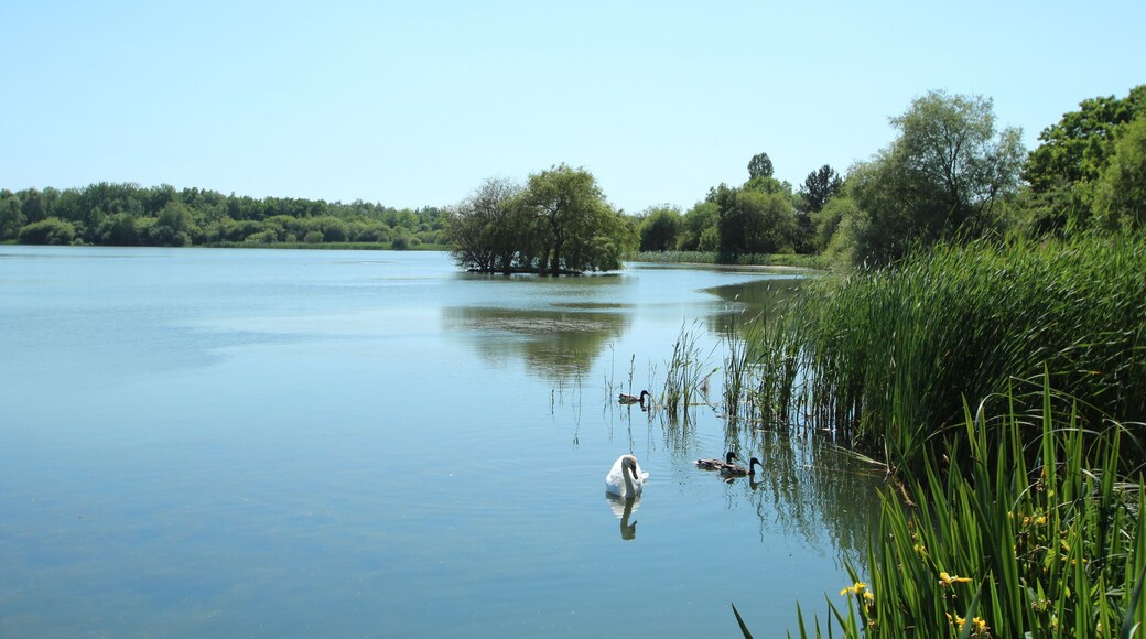 Noës pond in Le Mesnil-Saint-Denis in the Yvelines department in France.