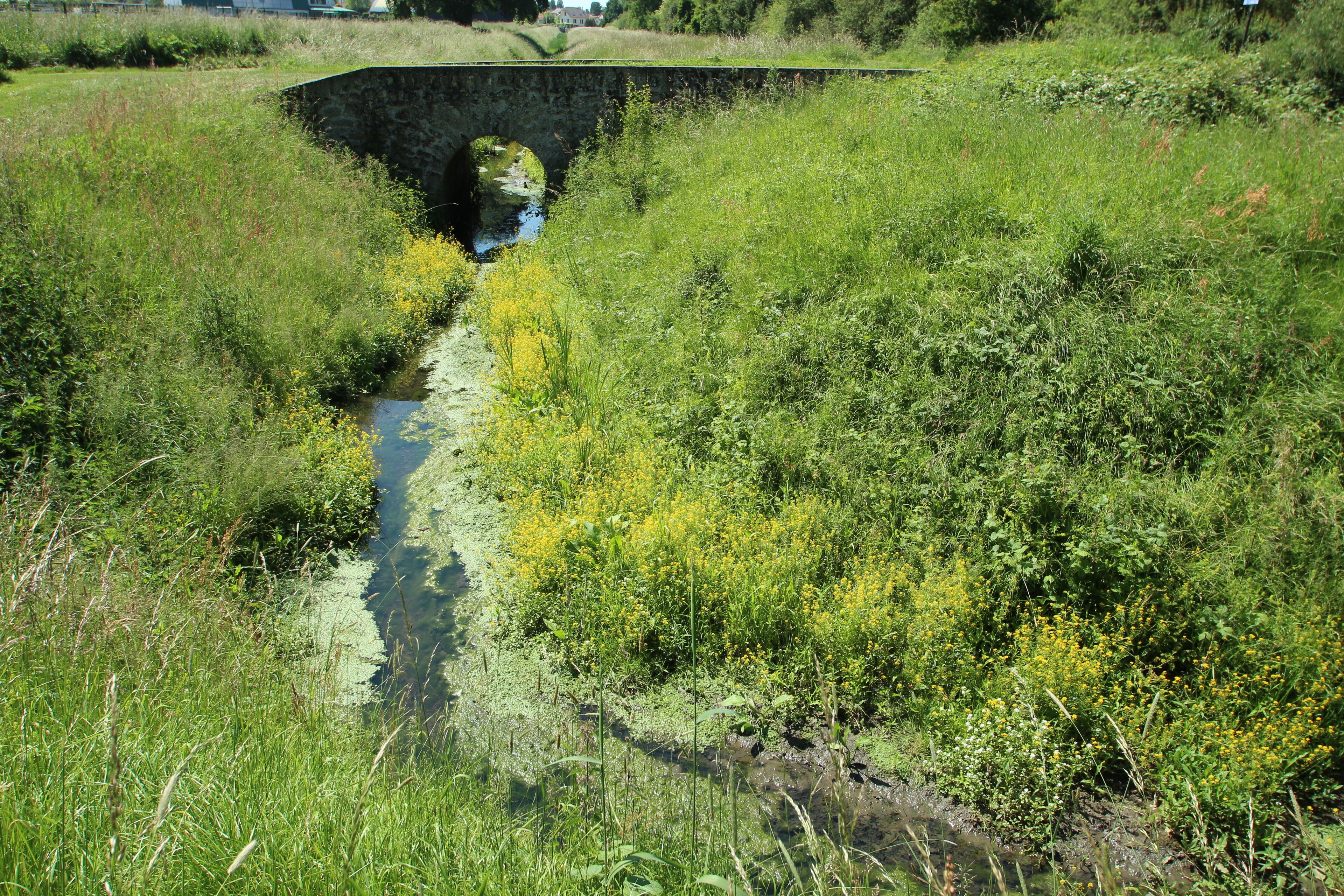 Noës pond in Le Mesnil-Saint-Denis in the Yvelines department in France.