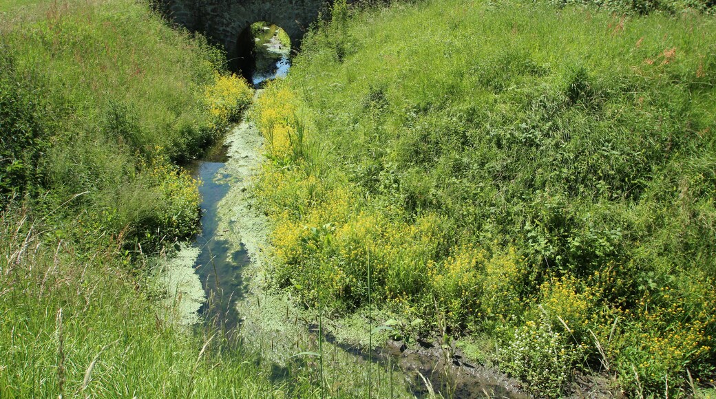 Noës pond in Le Mesnil-Saint-Denis in the Yvelines department in France.