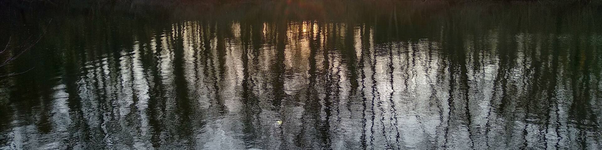 Sunset in the woods, on the lake