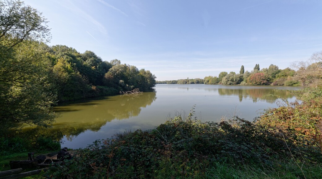 Extrรฉmitรฉ ouest de l'รฉtang de Trรฉvoix, bassin de retenue de l'Orge ร Bruyรจres-le-Chรขtel dans l'Essonne.