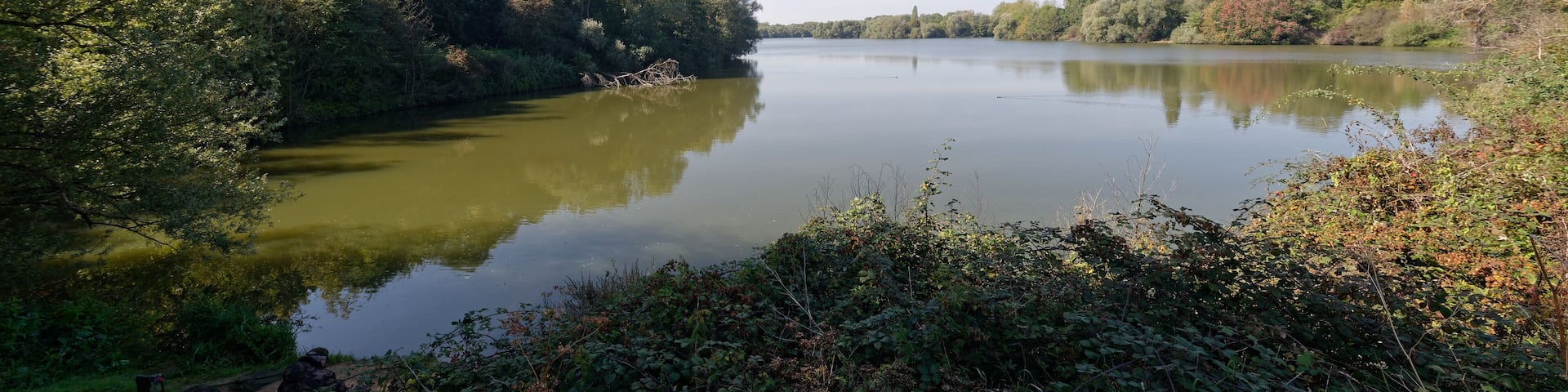 Extrémité ouest de l'étang de Trévoix, bassin de retenue de l'Orge à Bruyères-le-Châtel dans l'Essonne.