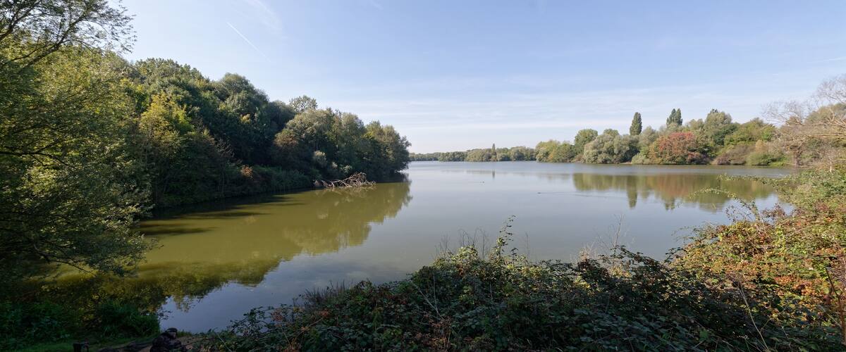 A calm river surrounded by dense greenery and trees.