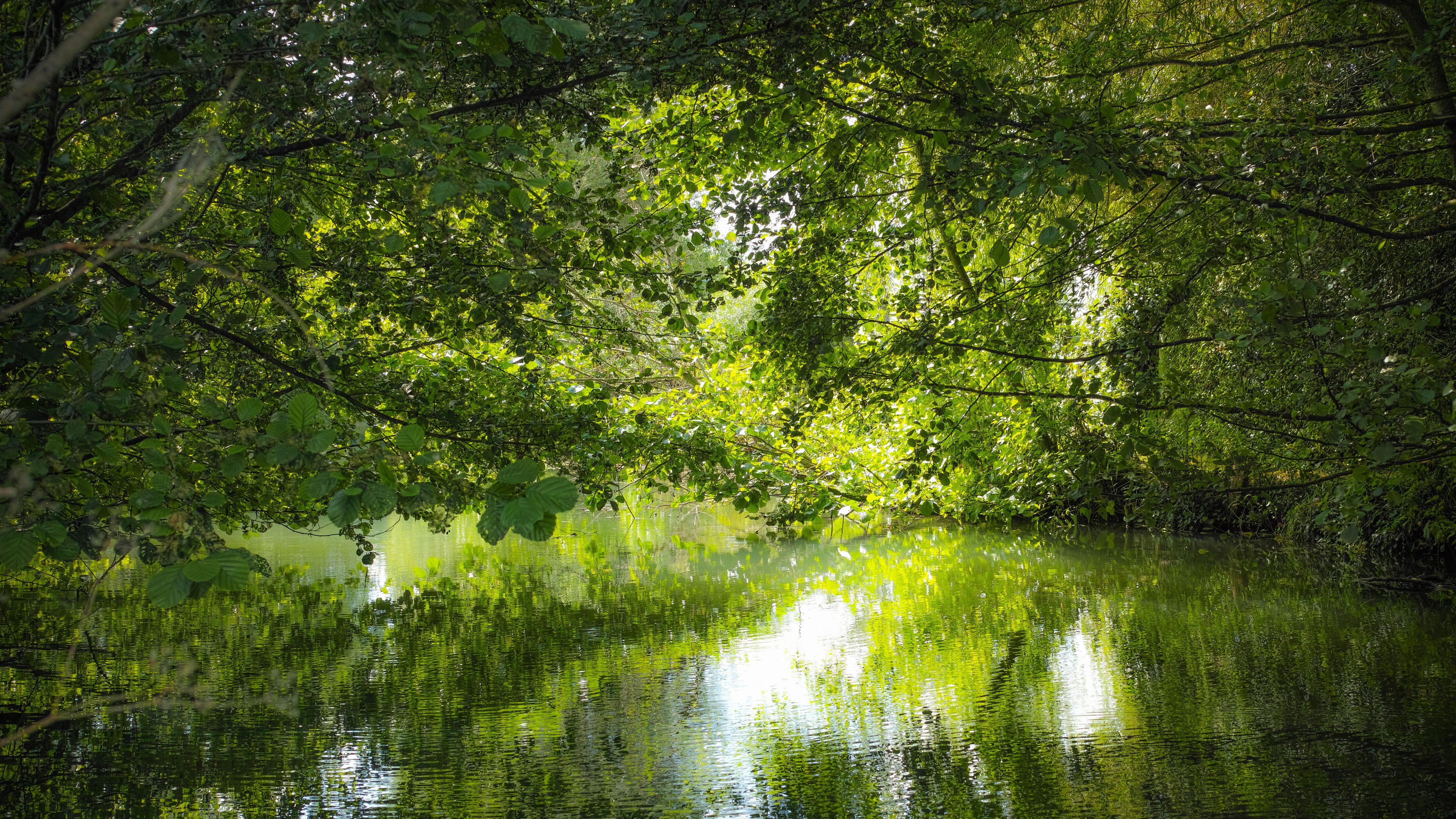 Green river Voiselle in marshes in Bourges, France