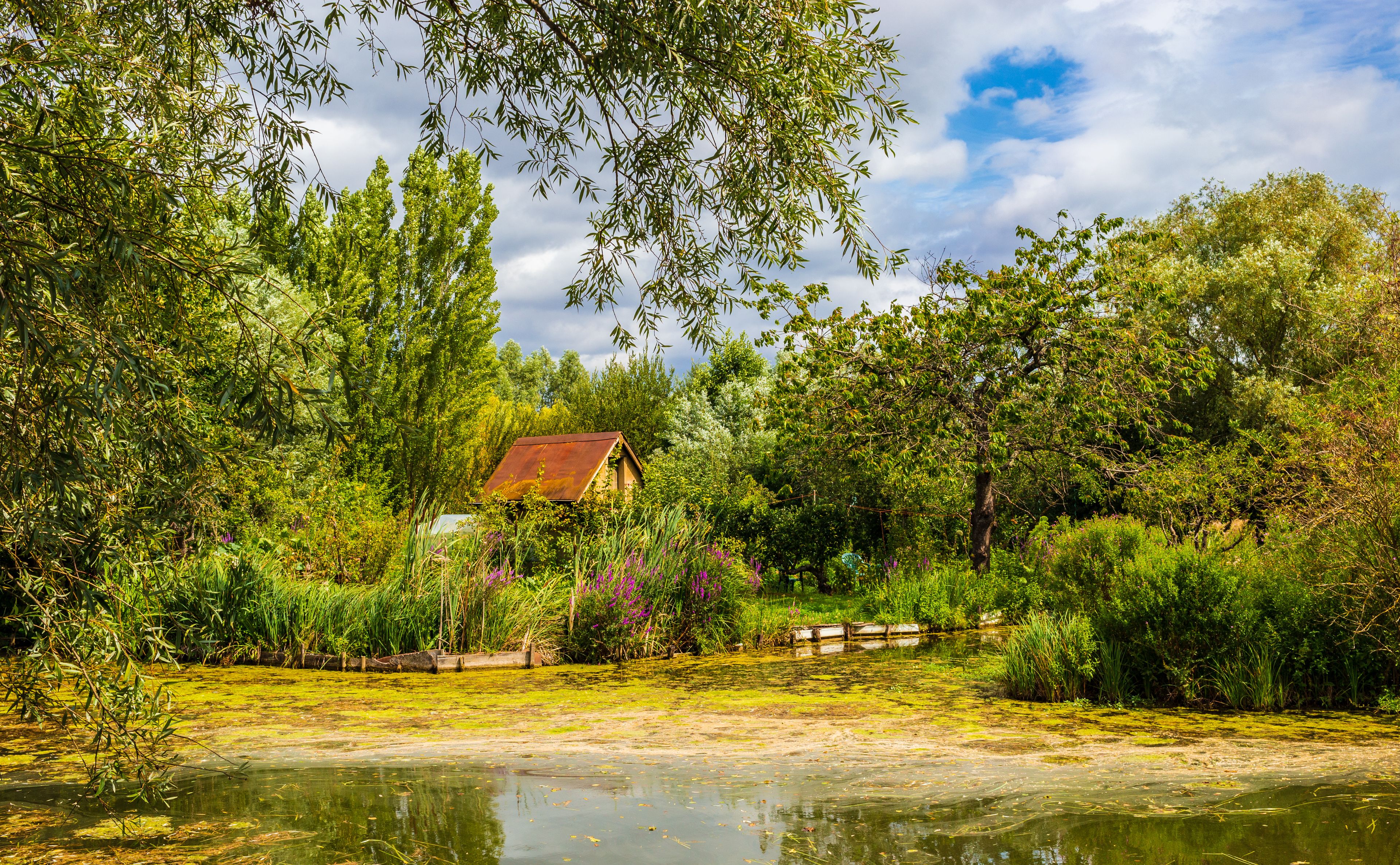 Une maison de campagne entourée d’une végétation luxuriante et bordée d’un étang.