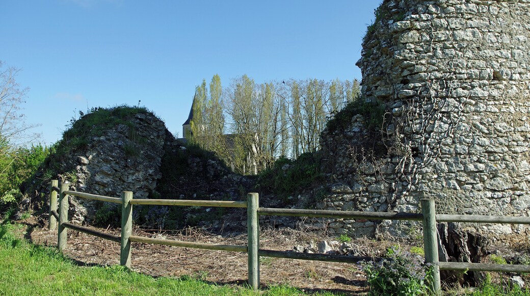 Coulommiers-la-Tour (Loir-et-Cher) Le site se trouve à quelques kilomètres à l’est de Vendôme dans une partie déprimée permettant de recueillir des eaux alimentant les douves circulaires. Le village possède une tour médiévale qui se situait à la frontière du comté de Vendome et du comté de Blois. Moins élaborée que le donjon des Montils, cette tour date probablement d'avant 1160-1170. La construction du Donjon (avec salle basse et salle haute) remonte certainement au XIème siècle avec des compléments de la fin du XIIème siècle. Le donjon s'élève sur une motte artificielle et était protègé par une enceinte en maçonnerie formant une première ligne de défense. La seconde ligne de défense est contituée de douves remplies d'eau, alimentées par un petit ruisseau. Le site a été nettoyé et les fossés restaurés et remis en eau entre 1976 et 1983. Bien que faisant partie du Vendômois la seigneurie de Coulommiers relevait des sires de Beaugency. A partir du XIème siècle l'Abbaye de la Trinité de Vendôme y possède de nombreux domaines. Fin XIe siècle (vers février 1096), le comte de Blois Etienne, venait séjourner avec Adèle, son épouse, au château de Coulommiers, avant son départ pour Jérusalem. En 1329, le rattachement de la seigneurie de Coulommiers au comté de Vendome est définitif. Par un acte en date du 18 octobre 1631, le sacristain du baptiseur Louis Lambert s'adresse ainsi aux "gens de Selommes et gens de Coulommiers" : « Le présent baptême, à cause qu'on allait en procession à Coulommiers, et que j’allions dire la messe, a esté différé à escrire jusqu’au jour de Saint Luc, le 18e jour d'Octobre, au dit an par oubliance.» On devait probablement se rendre ainsi chaque année en Coulommiers pour la fête patronale qui est la Décollation de Saint-Jean-Baptiste, et tombe le 29 Août.