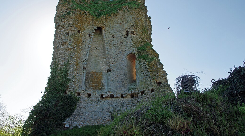 Coulommiers-la-Tour (Loir-et-Cher) Le site se trouve à quelques kilomètres à l’est de Vendôme dans une partie déprimée permettant de recueillir des eaux alimentant les douves circulaires. Le village possède une tour médiévale qui se situait à la frontière du comté de Vendome et du comté de Blois. Moins élaborée que le donjon des Montils, cette tour date probablement d'avant 1160-1170. La construction du Donjon (avec salle basse et salle haute) remonte certainement au XIème siècle avec des compléments de la fin du XIIème siècle. Le donjon s'élève sur une motte artificielle et était protègé par une enceinte en maçonnerie formant une première ligne de défense. La seconde ligne de défense est contituée de douves remplies d'eau, alimentées par un petit ruisseau. Le site a été nettoyé et les fossés restaurés et remis en eau entre 1976 et 1983. Bien que faisant partie du Vendômois la seigneurie de Coulommiers relevait des sires de Beaugency. A partir du XIème siècle l'Abbaye de la Trinité de Vendôme y possède de nombreux domaines. Fin XIe siècle (vers février 1096), le comte de Blois Etienne, venait séjourner avec Adèle, son épouse, au château de Coulommiers, avant son départ pour Jérusalem. En 1329, le rattachement de la seigneurie de Coulommiers au comté de Vendome est définitif. Par un acte en date du 18 octobre 1631, le sacristain du baptiseur Louis Lambert s'adresse ainsi aux "gens de Selommes et gens de Coulommiers" : « Le présent baptême, à cause qu'on allait en procession à Coulommiers, et que j’allions dire la messe, a esté différé à escrire jusqu’au jour de Saint Luc, le 18e jour d'Octobre, au dit an par oubliance.» On devait probablement se rendre ainsi chaque année en Coulommiers pour la fête patronale qui est la Décollation de Saint-Jean-Baptiste, et tombe le 29 Août.