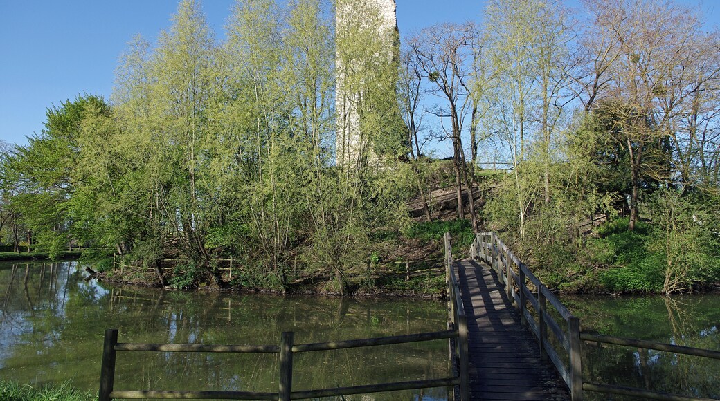 Coulommiers-la-Tour (Loir-et-Cher) Le site se trouve à quelques kilomètres à l’est de Vendôme dans une partie déprimée permettant de recueillir des eaux alimentant les douves circulaires. Le village possède une tour médiévale qui se situait à la frontière du comté de Vendome et du comté de Blois. Moins élaborée que le donjon des Montils, cette tour date probablement d'avant 1160-1170. La construction du Donjon (avec salle basse et salle haute) remonte certainement au XIème siècle avec des compléments de la fin du XIIème siècle. Le donjon s'élève sur une motte artificielle et était protègé par une enceinte en maçonnerie formant une première ligne de défense. La seconde ligne de défense est contituée de douves remplies d'eau, alimentées par un petit ruisseau. Le site a été nettoyé et les fossés restaurés et remis en eau entre 1976 et 1983. Bien que faisant partie du Vendômois la seigneurie de Coulommiers relevait des sires de Beaugency. A partir du XIème siècle l'Abbaye de la Trinité de Vendôme y possède de nombreux domaines. Fin XIe siècle (vers février 1096), le comte de Blois Etienne, venait séjourner avec Adèle, son épouse, au château de Coulommiers, avant son départ pour Jérusalem. En 1329, le rattachement de la seigneurie de Coulommiers au comté de Vendome est définitif. Par un acte en date du 18 octobre 1631, le sacristain du baptiseur Louis Lambert s'adresse ainsi aux "gens de Selommes et gens de Coulommiers" : « Le présent baptême, à cause qu'on allait en procession à Coulommiers, et que j’allions dire la messe, a esté différé à escrire jusqu’au jour de Saint Luc, le 18e jour d'Octobre, au dit an par oubliance.» On devait probablement se rendre ainsi chaque année en Coulommiers pour la fête patronale qui est la Décollation de Saint-Jean-Baptiste, et tombe le 29 Août.