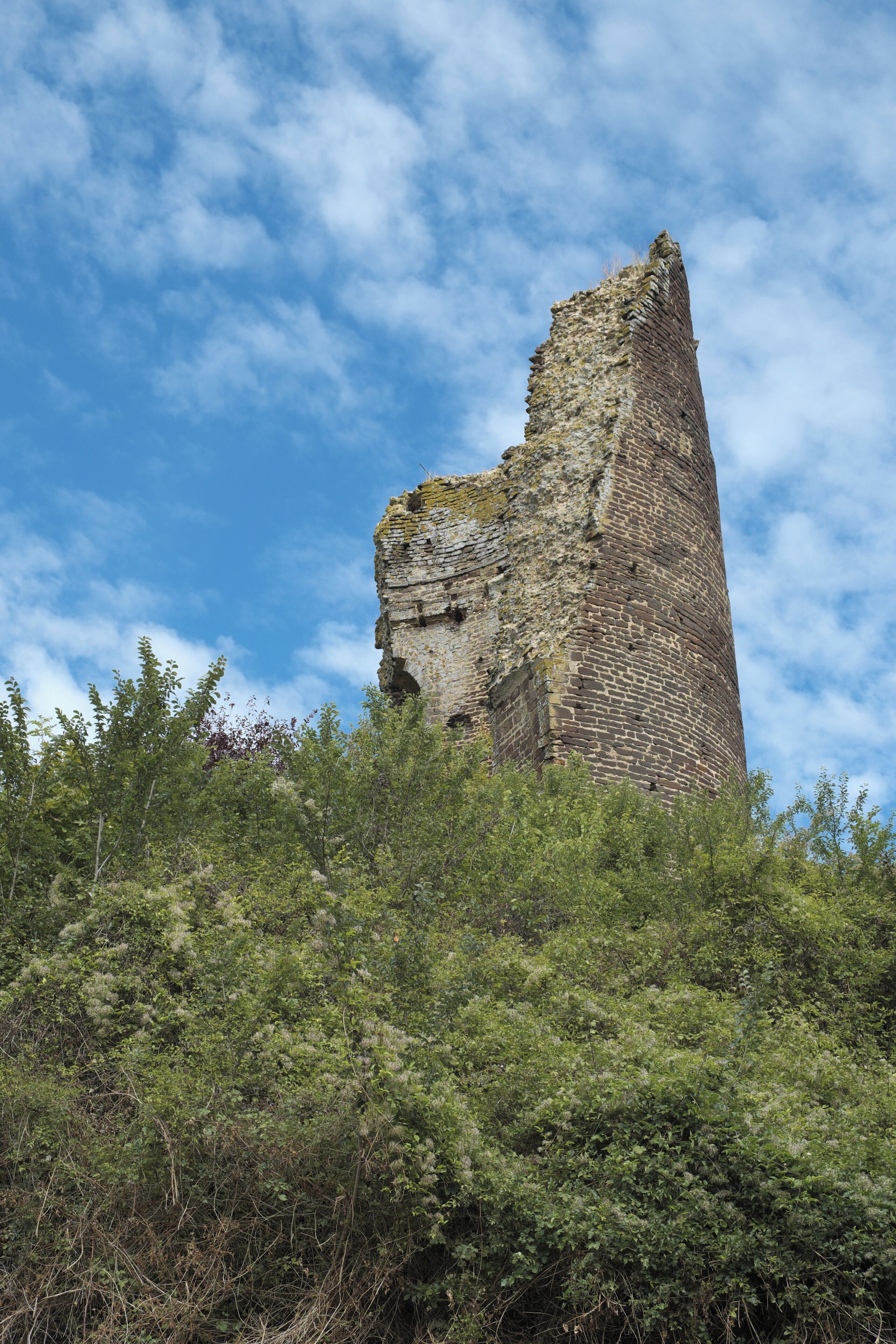 A tall, weathered brick tower surrounded by dense greenery.