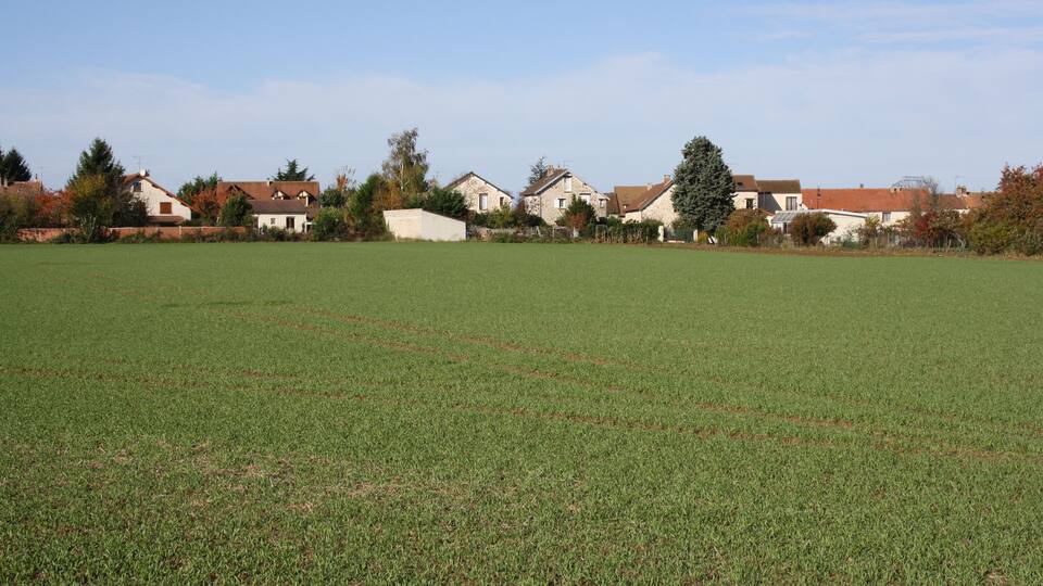 A green field with houses in the background.