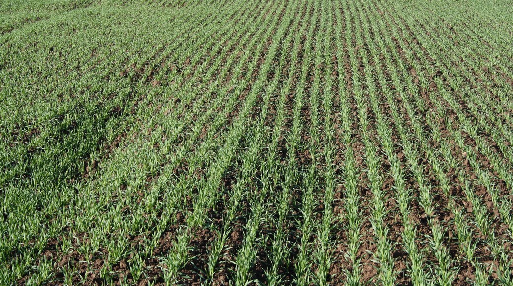 View of the village of Saint-Jean-de-Beauregard, France.